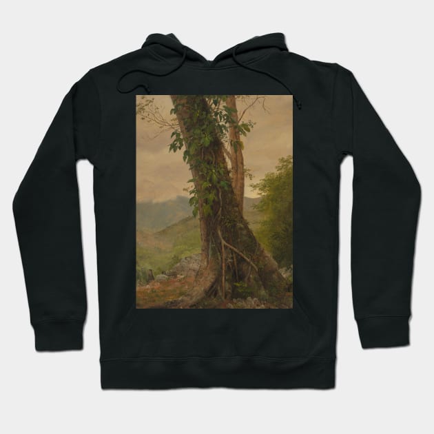 Tree with Vines, Jamaica, West Indies by Frederic Edwin Church Hoodie by Classic Art Stall